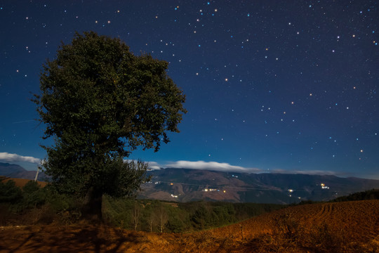 紅土地星空夜景