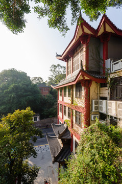鴻山公園