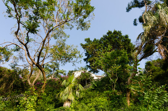 廈門鴻山公園