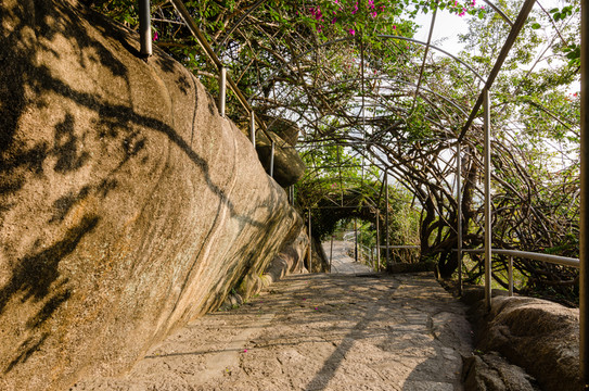 廈門鴻山公園