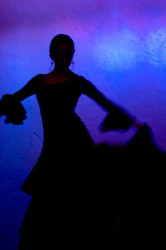 flamenko舞者silhoete