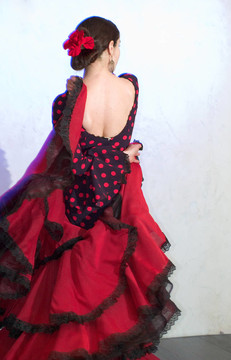 Flamenko的舞者