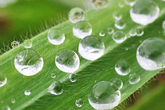 水滴