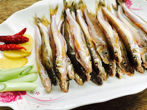 野生小河魚