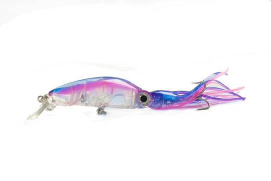 該魷魚