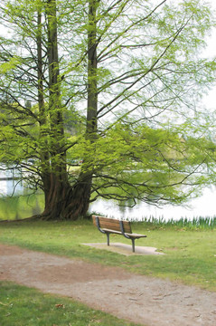 公園的長椅上