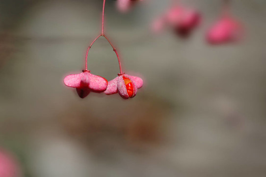 突破