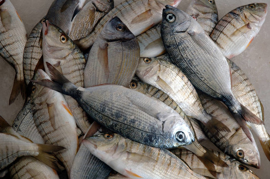 在K FishMarket魚