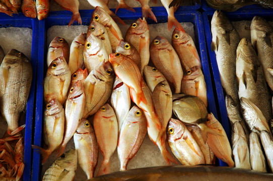 在K FishMarket魚