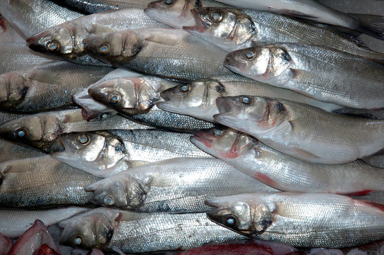 在K FishMarket魚