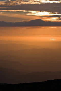 層