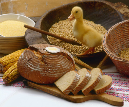 breadandduck