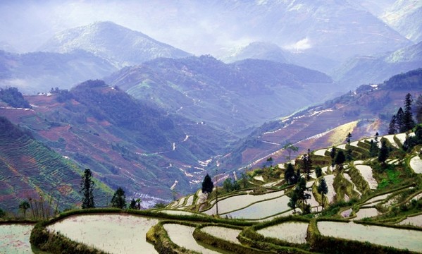 云南元陽梯田