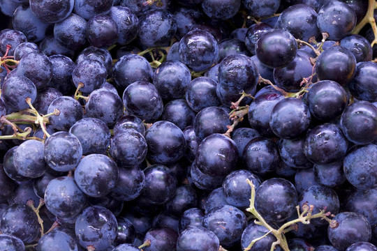 藍(lán)色的葡萄