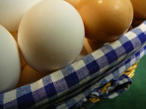 布朗和White Eggs