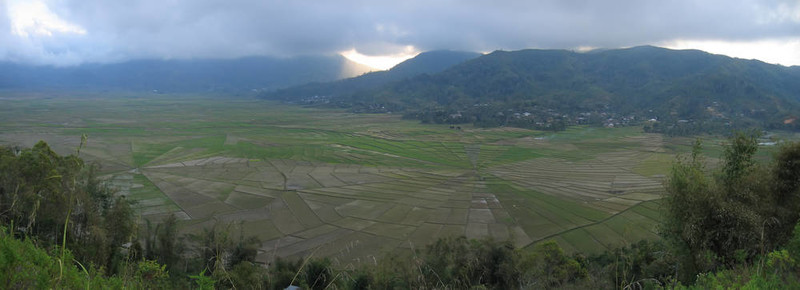 卡拉的稻田圈模式；魯滕；弗洛里斯；印度尼西亞；全景