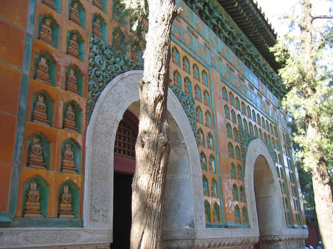 一個(gè)樹皇寺的細(xì)節(jié)；頤和園；北京；中國(guó)