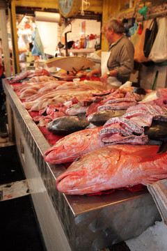 魚