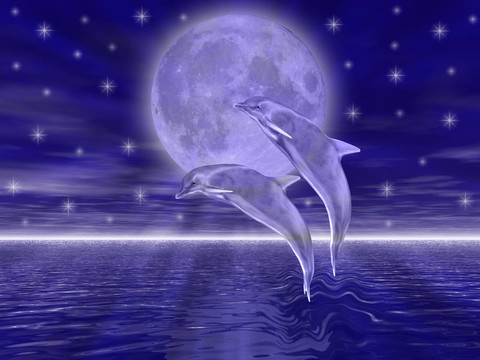 海豚