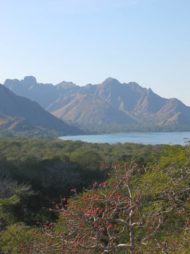 從Rinca島觀海灣和山脈；科摩多群島；印度尼西亞