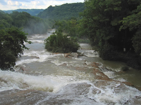 與河瀑布和熱帶叢林；Agua Azul；墨西哥