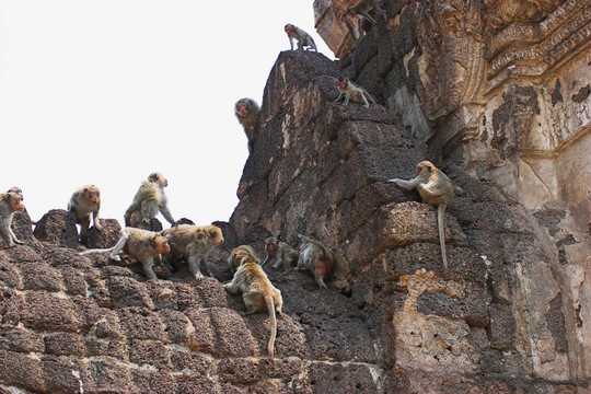 泰國；Phra Prang Sam