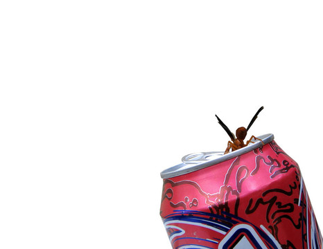 紅蜂特殊