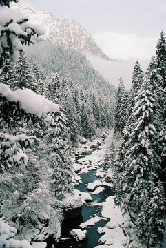 Dombai.Winter。