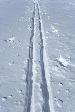 雪地里的滑雪道