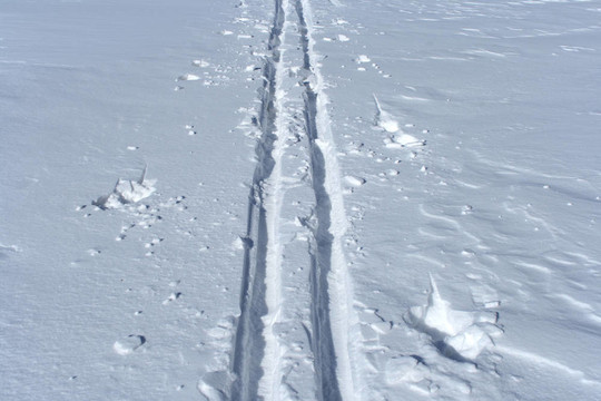 雪上滑雪道