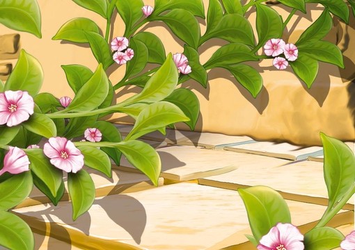 匍匐植物