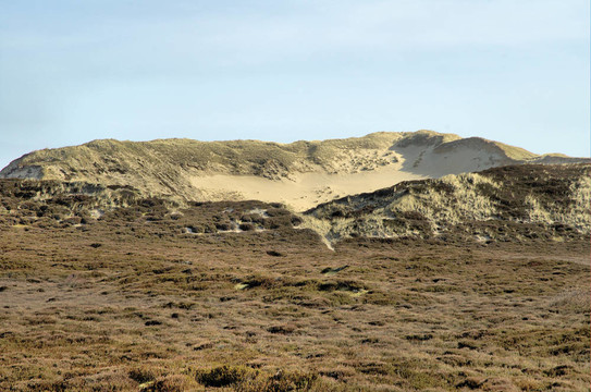 敘爾特島dunescape 1