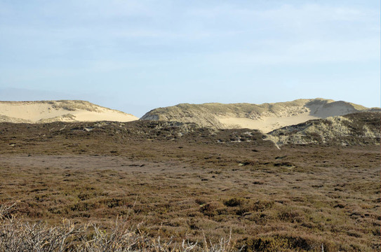 敘爾特島dunescape 2