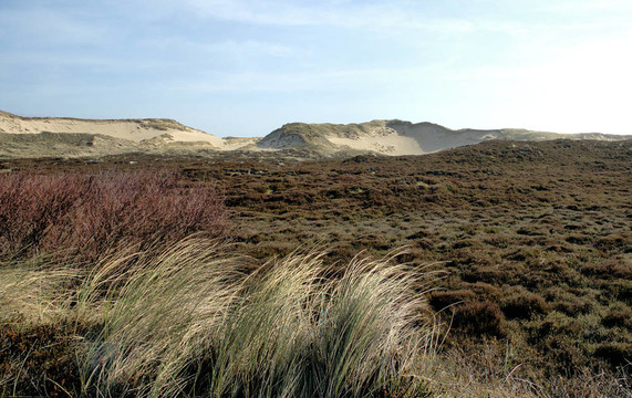 敘爾特島dunescape 4