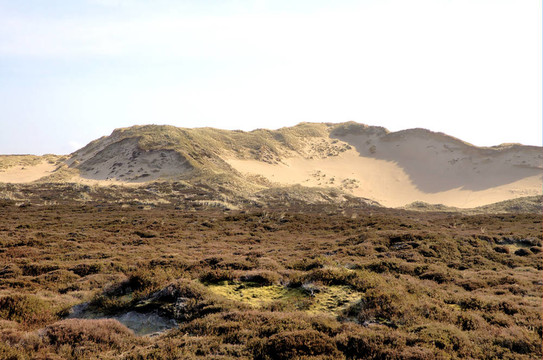 敘爾特島dunescape 6