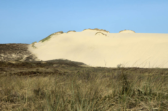 敘爾特島dunescape 10