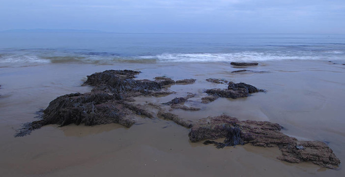海灘
