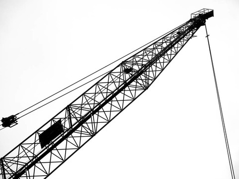 大Scale Crane