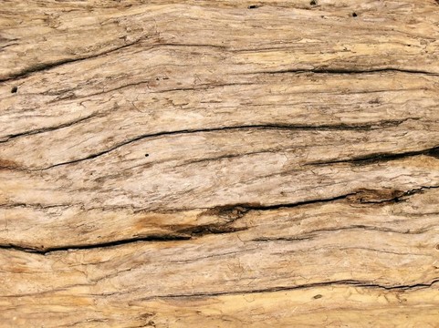漂移Wood Pattern