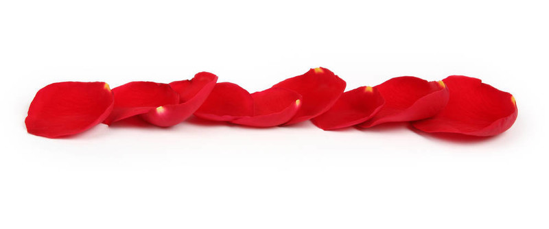 玫瑰花瓣