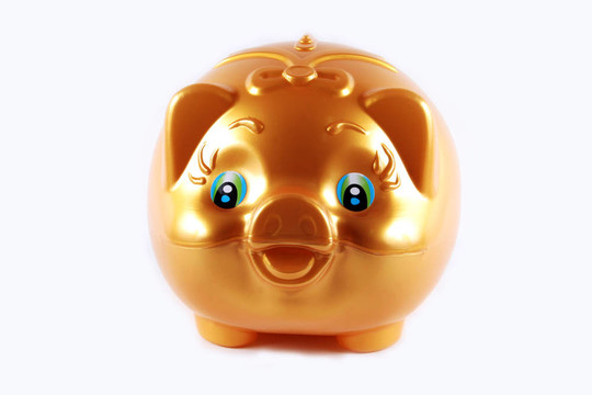 黃金豬