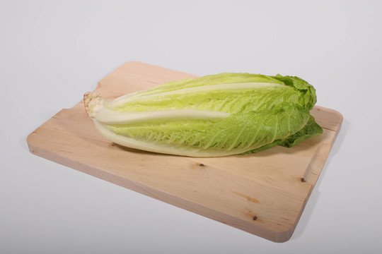 生菜上的生菜