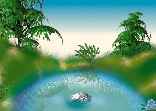 小池塘