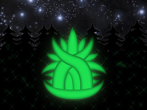 nightplant