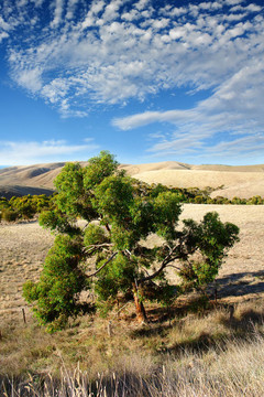 澳大利亞的風(fēng)景