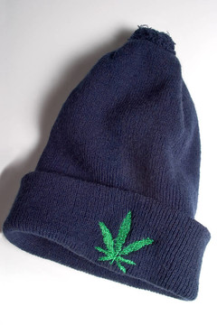 藍(lán)cap_0199。