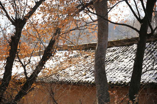 雪后農(nóng)家