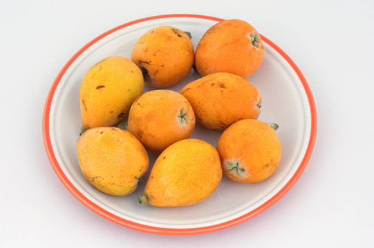 枇杷果實