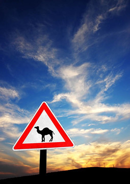 沙漠的危險(xiǎn)