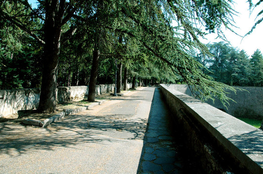 公園2